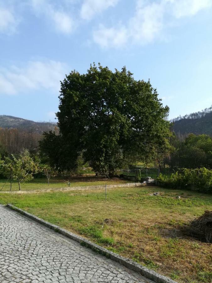 Casa dos Laços Viseu Exterior foto